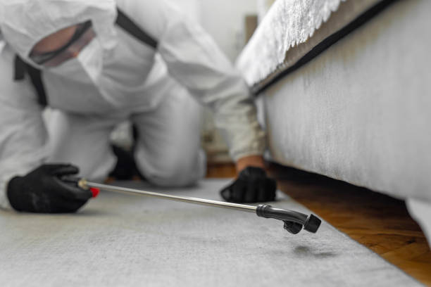 Professional Termite Control technician working in Wallace Ridge, LA