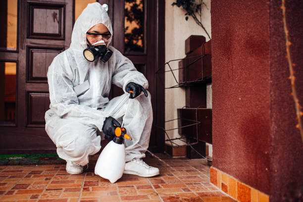 Reliable Termite Control contractor in Wallace Ridge, LA by Nex Pest Control