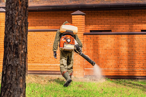Trusted Rodent Control service in Wallace Ridge, LA - Nex Pest Control